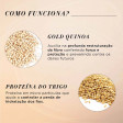 L'Oréal Expert Absolut Repair Gold Quinoa + Protein Kit (4 Itens)