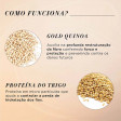 L'Oréal Absolut Repair Gold Quinoa Protein Kit Trio (3 Produtos)