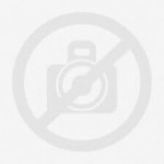 Forty Liss Professional Forty Liss Professional